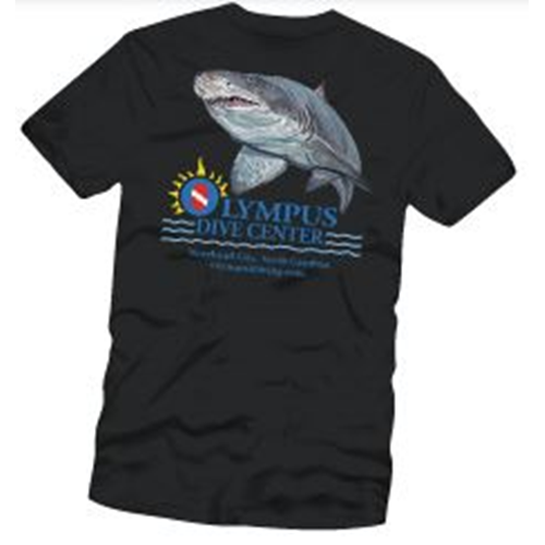 Youth Shark Shirt (Assorted)